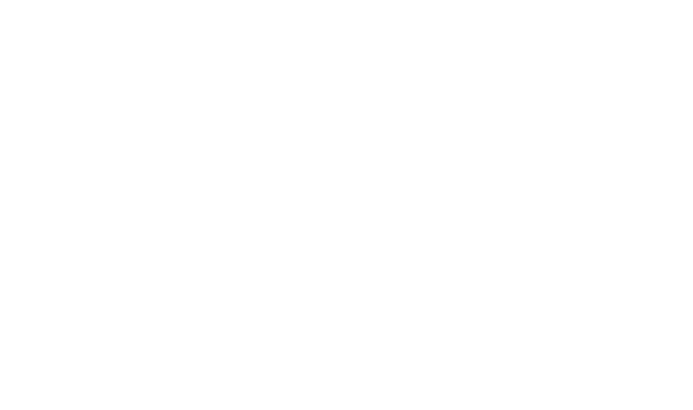 NVFX Studio